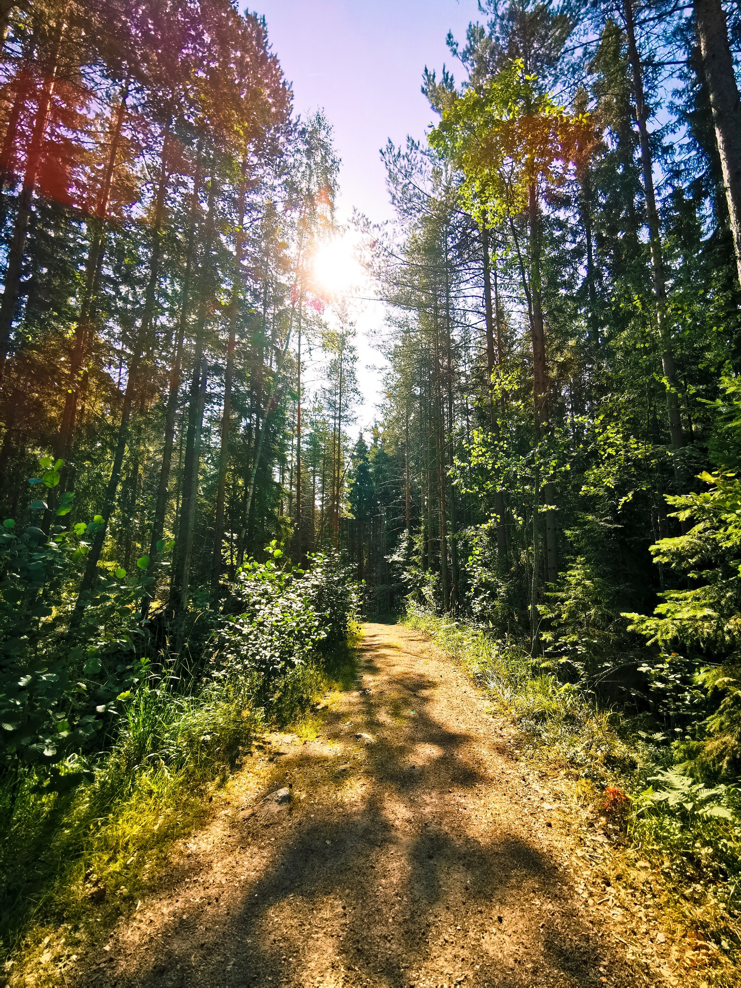 Repovesi National Park — Tervajärvi parking (Tervajärvi pysäköintialue)